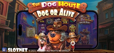 더-도그하우스-도그-오어-어라이브-The-Dog-House-Dog-or-Alive-B